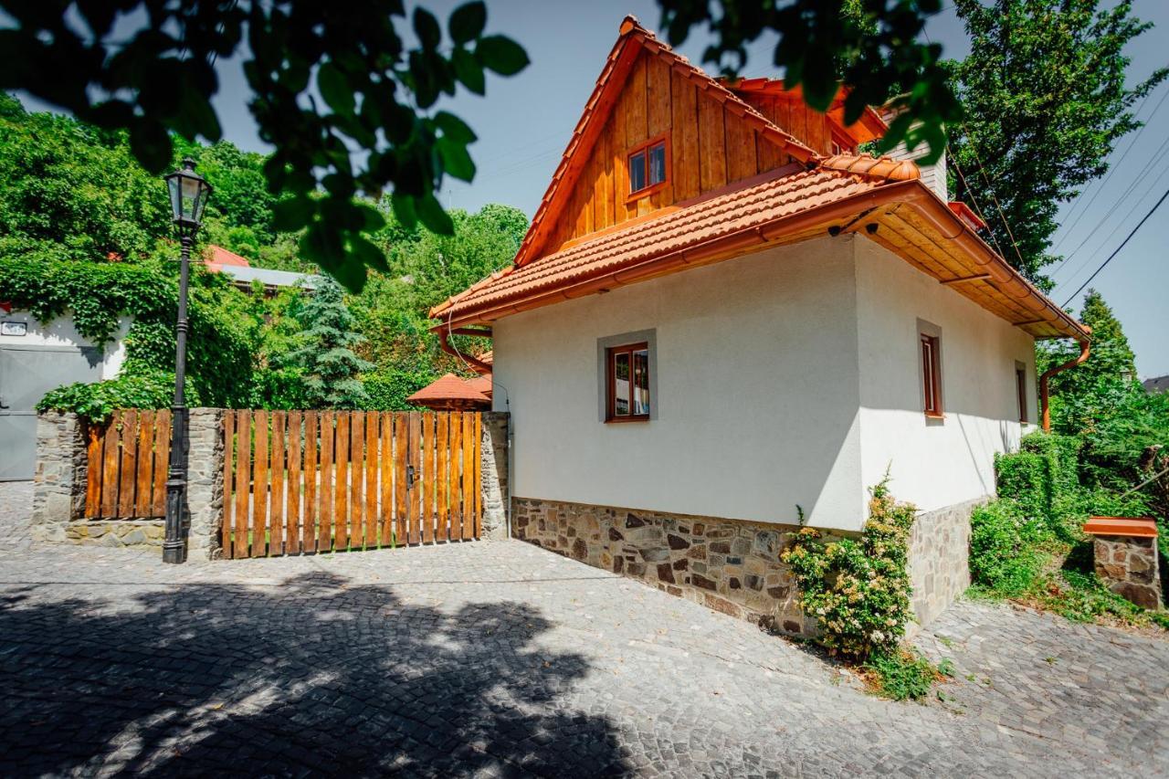 Stara Mytnica Villa Banska Stiavnica Bagian luar foto